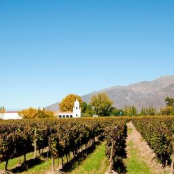 Cafayate Accommodation Denver