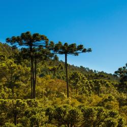 Parana Accommodation Denver