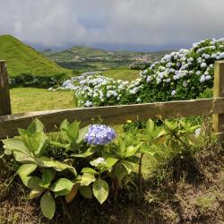 Serra Gaucha Accommodation Denver