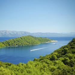 Mljet Island Accommodation Denver