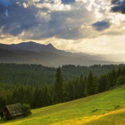 Gmina Bukowina Tatrzanska Accommodation Denver