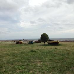 Kashubia Accommodation Denver