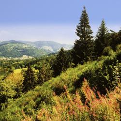 Lodz Accommodation Denver