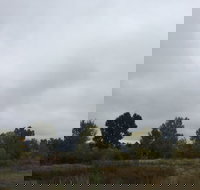 Days Inn by Wyndham Deming - Accommodation Denver