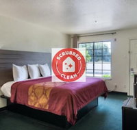 OYO Inn  Suites Medical Center San Antonio - Accommodation Denver