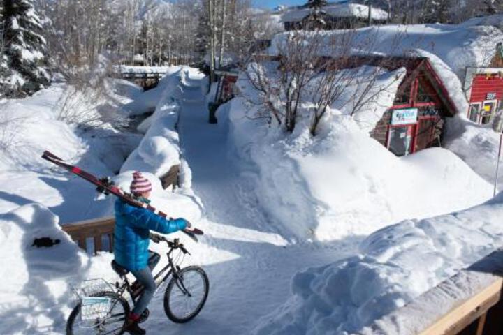 Recently Renovated 3 Br Condo Condo - thumb 4