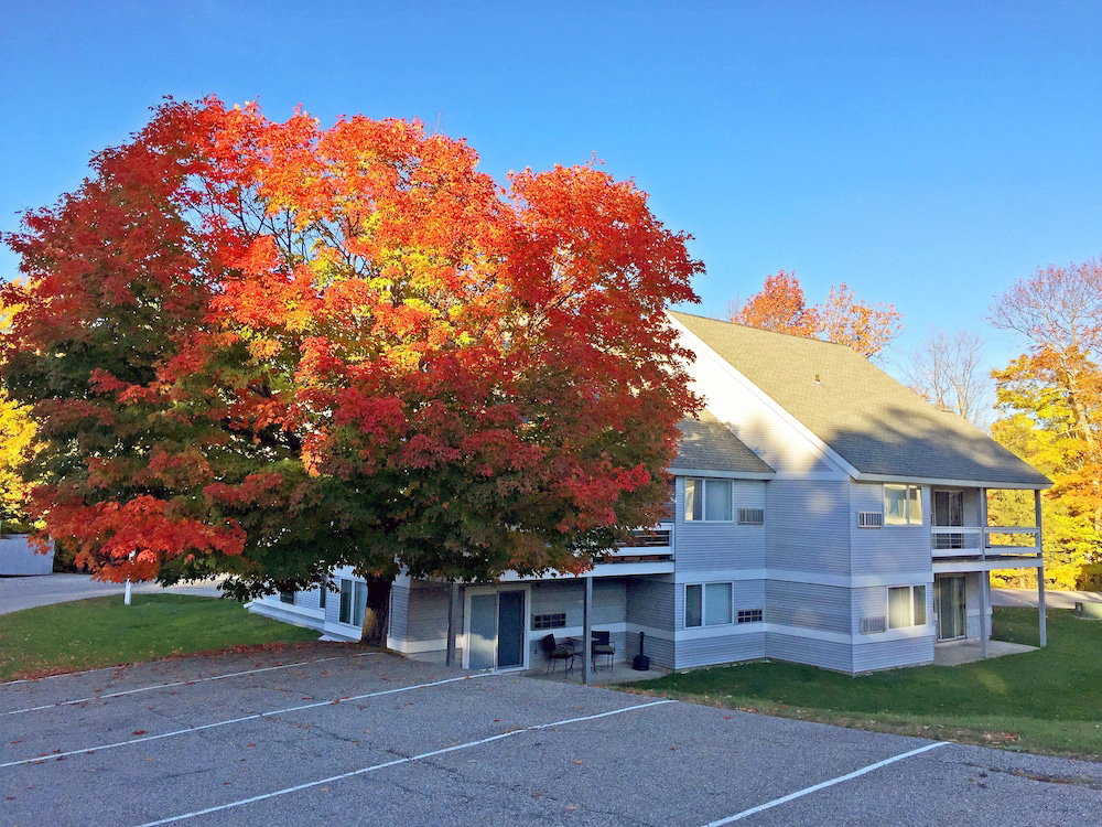 KCIS 432 Killington Tree House: 2 Room Modern Condo - thumb 3