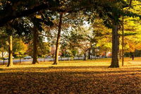 Mins to Downtown Ballpark Arch with Free Parking W  D Zencity at Bordeaux