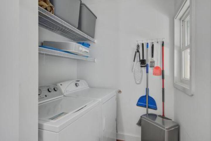 Fiddler Crab - thumb 3