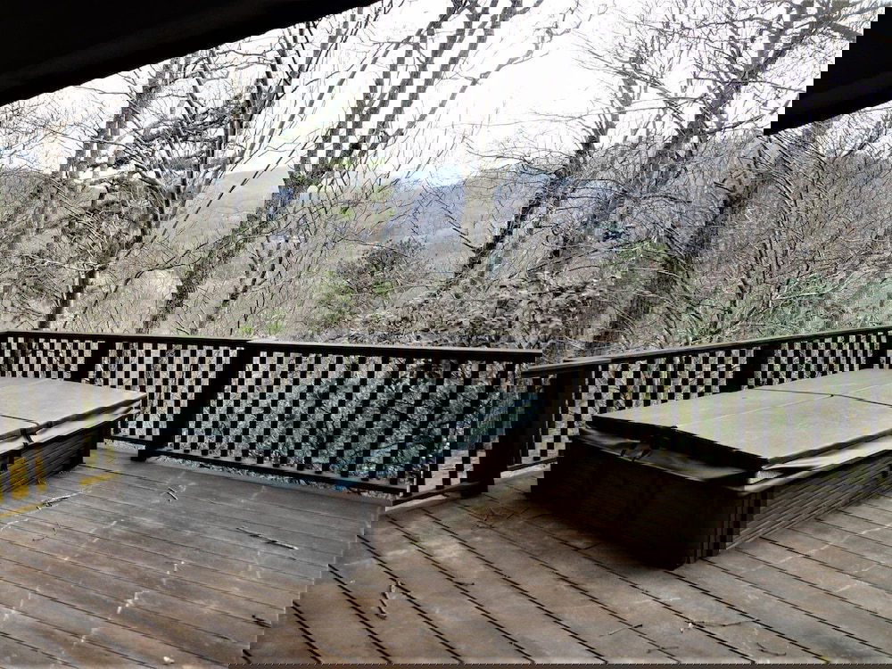 The Mountain House - thumb 6