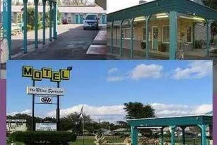 Blue Spruce Motel - thumb 5