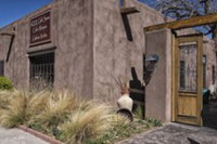Contnental Dv Nm Accommodation Denver
