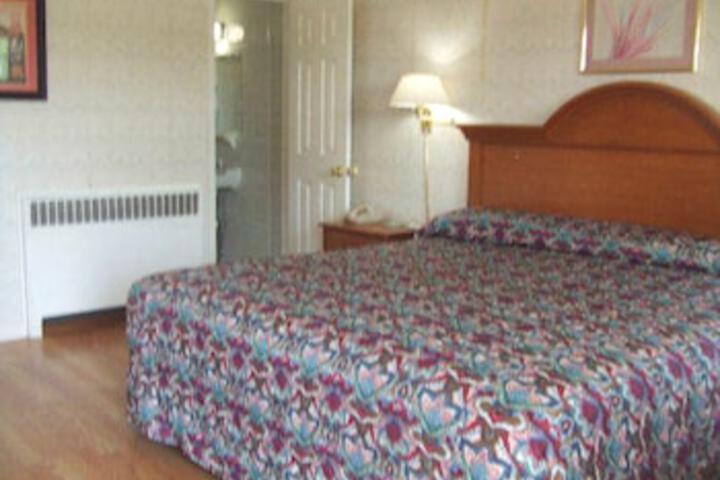 Robin Hood Motel - thumb 6