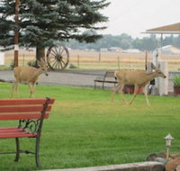 Rim Rock Motel - Accommodation Denver