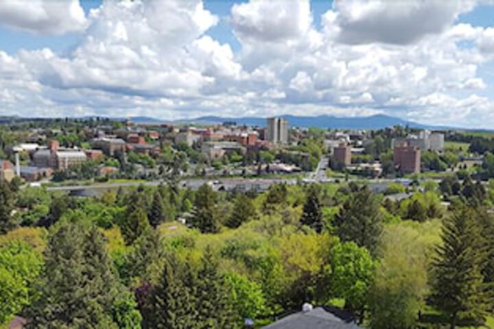 The State Inn - thumb 1