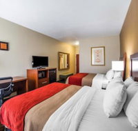Quality Inn - Accommodation Denver