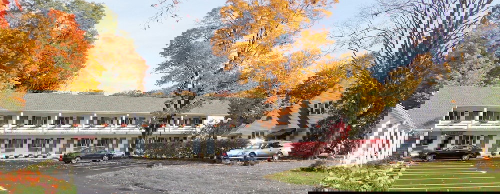 Roosevelt Inn Of Hyde Park - thumb 0