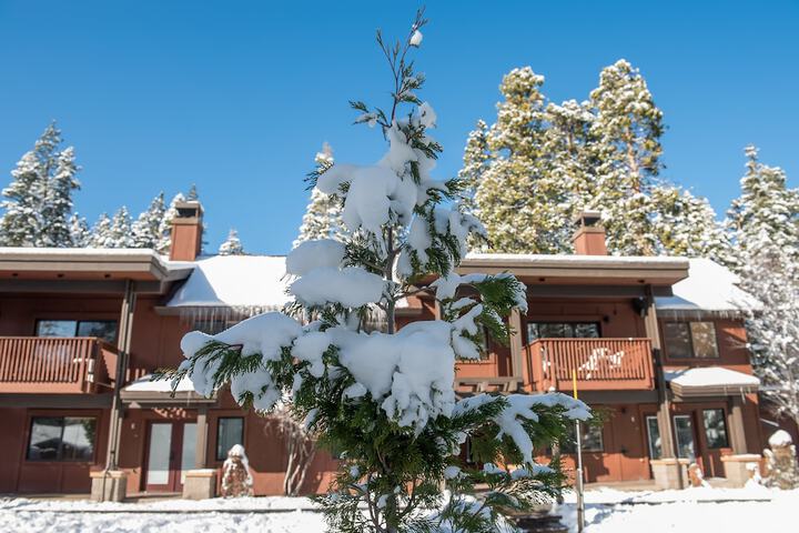 Granlibakken Tahoe - thumb 2