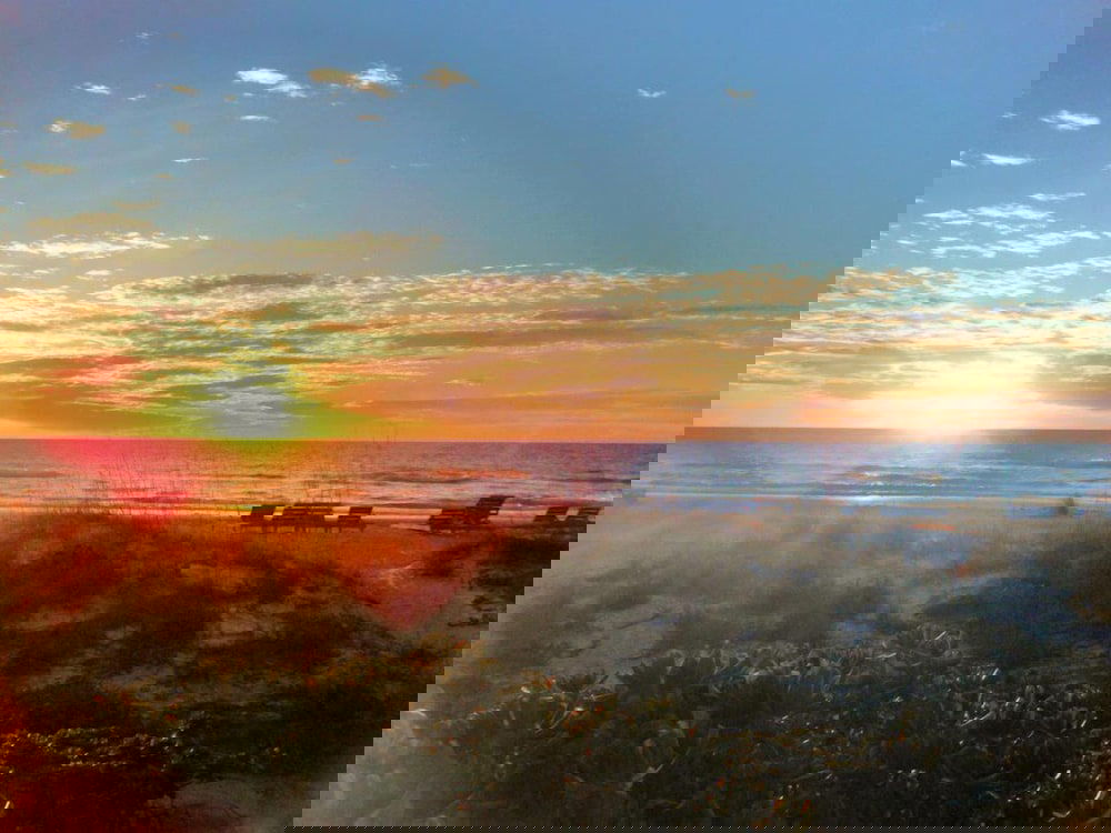 Sarah's Seaside - thumb 1