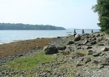 Dow Road Waterfront Cottage - One Bedroom Home - thumb 4