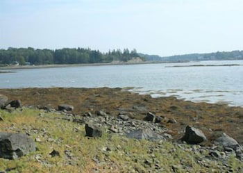 Dow Road Waterfront Cottage - One Bedroom Home - thumb 3