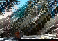 Alder Place by Lake Tahoe Accommodations