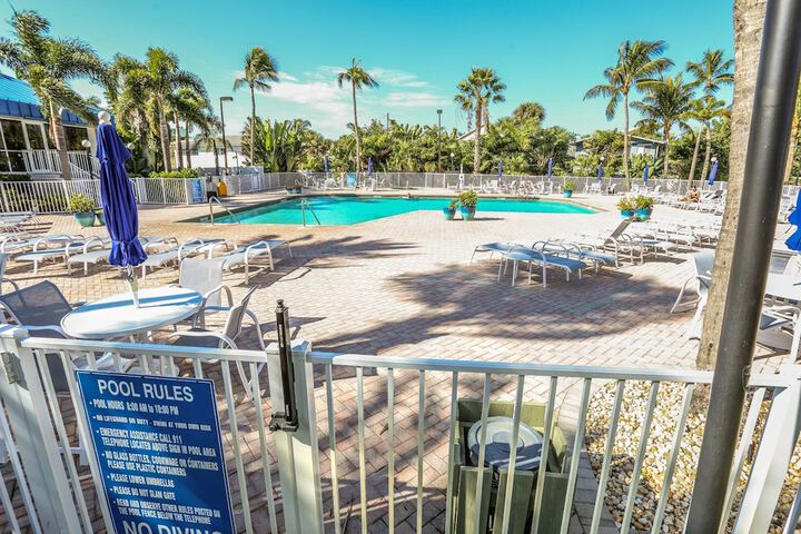 Ocean Harbor 1505b - thumb 6