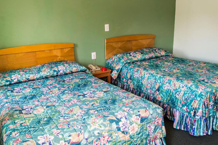 Bay Drive Motel - thumb 2