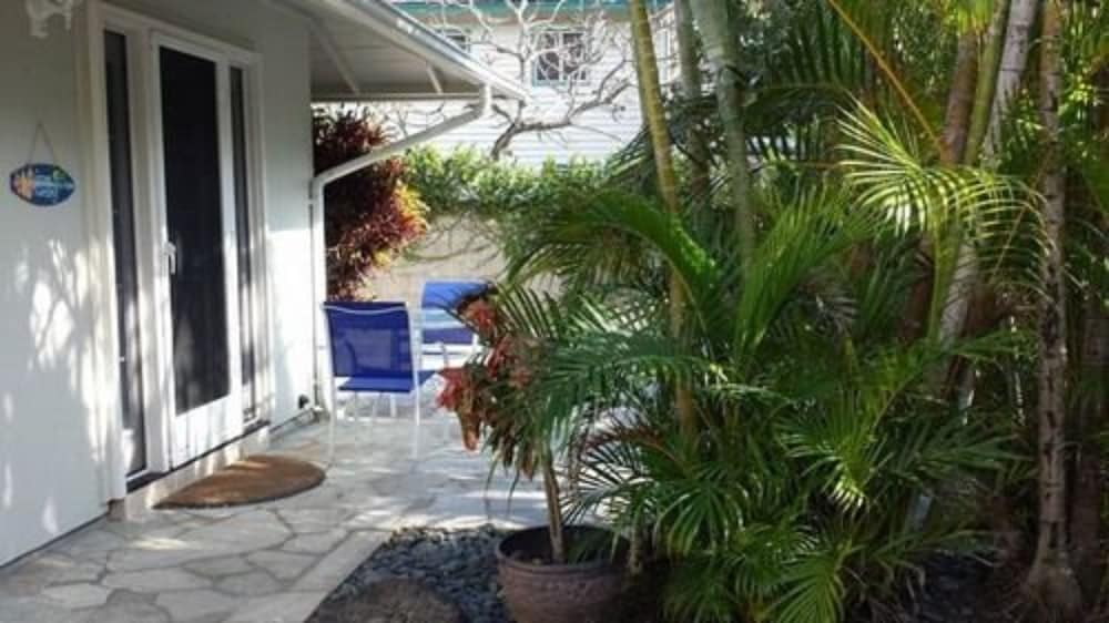 Paradise Palms B And B - thumb 4