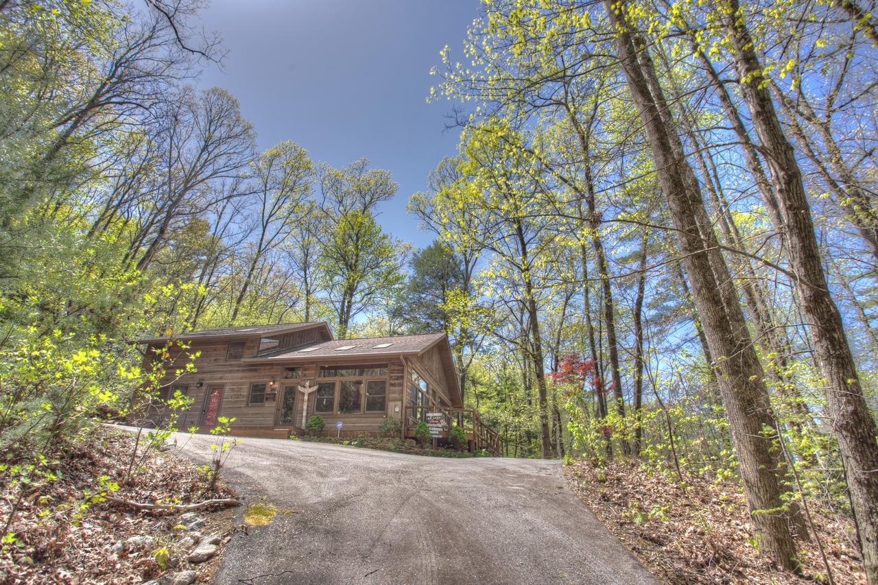 Bogg's Mountain Lodge Cabin - thumb 4