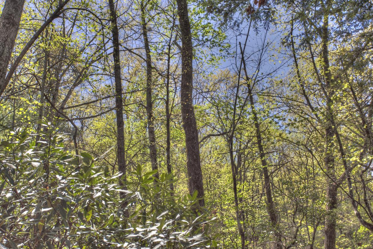 Bogg's Mountain Lodge Cabin - thumb 19