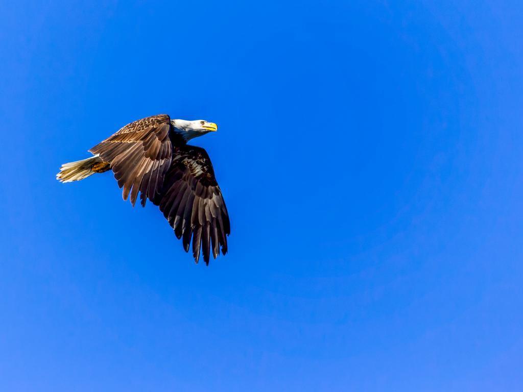 Sandpoint Station Guest House - thumb 34