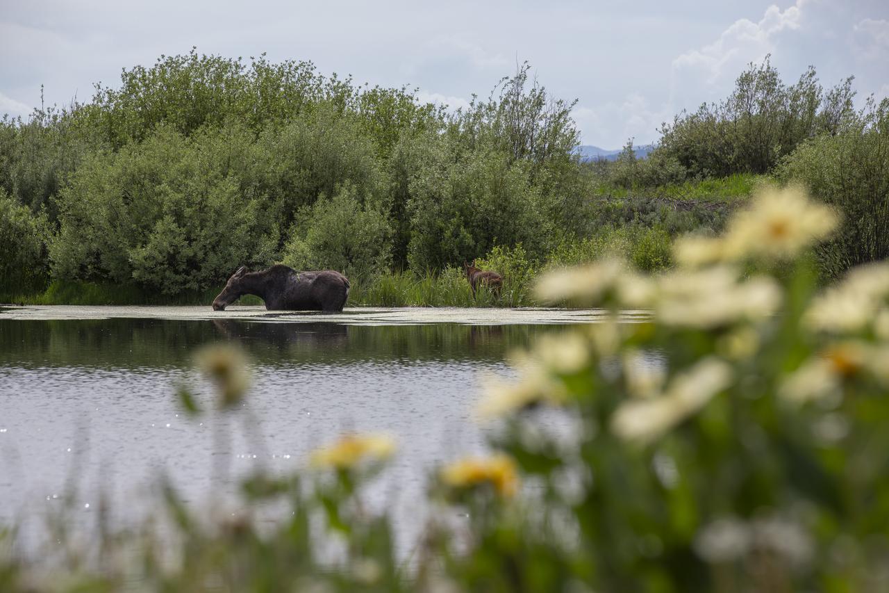 Remington Retreat - thumb 22