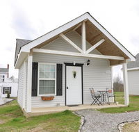 Yard Geese- Galloping Goose Cottages - Accommodation Denver