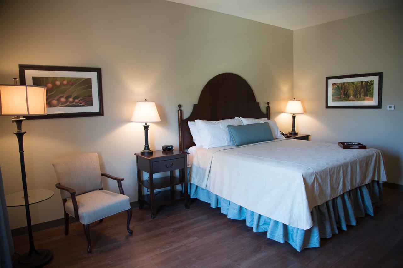 Chateau Saint Denis - thumb 7