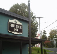 Pine Tree Inn - Accommodation Denver