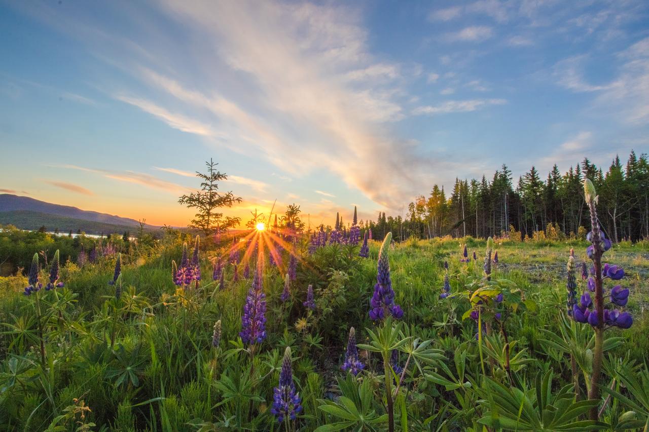 Lakeshore Loveliness - thumb 14