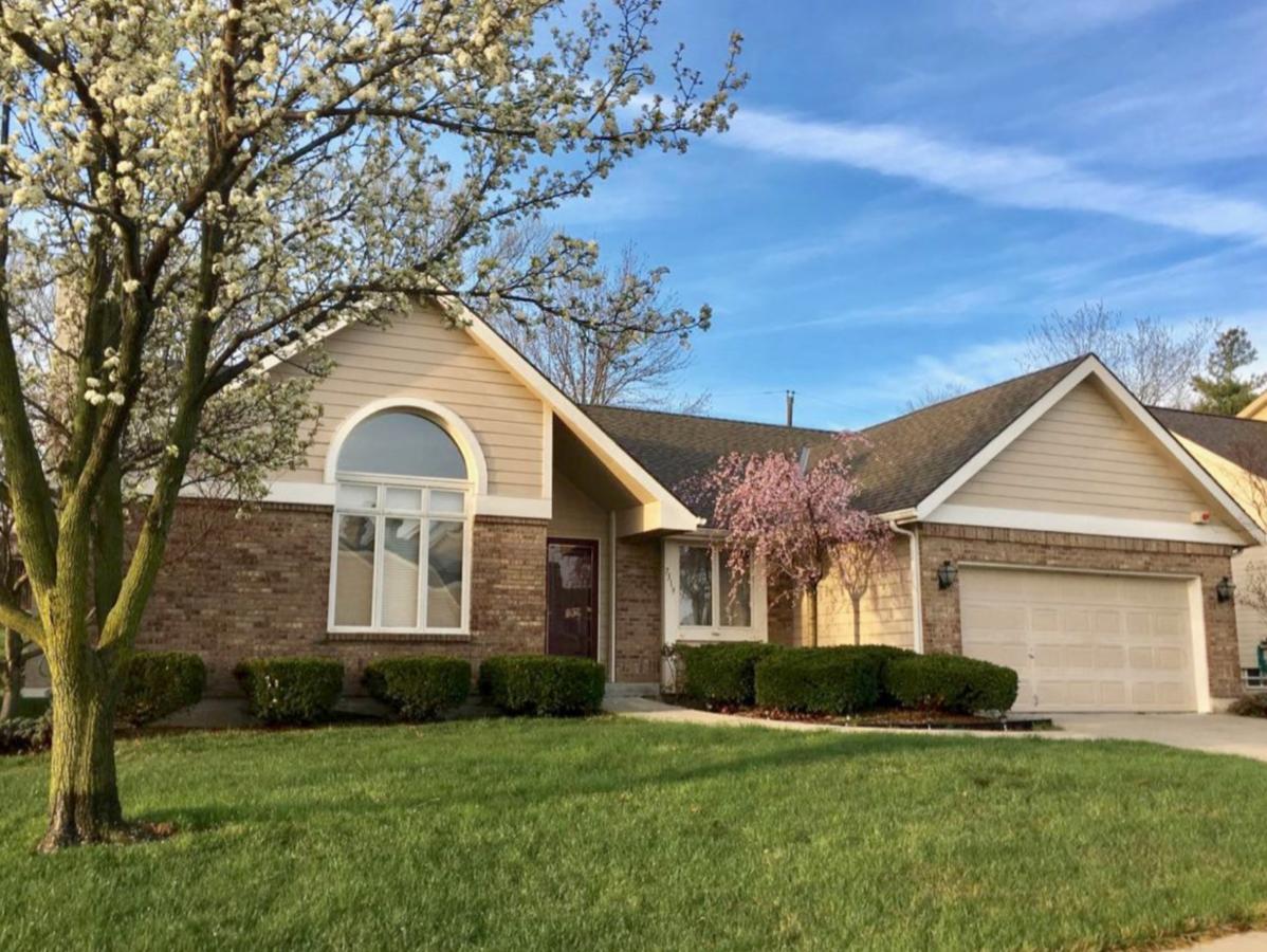 Zona Rosa / Airport - thumb 0