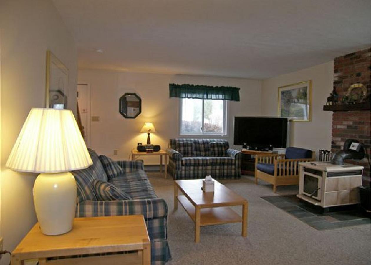 Alpine Village Resort 163 - thumb 8