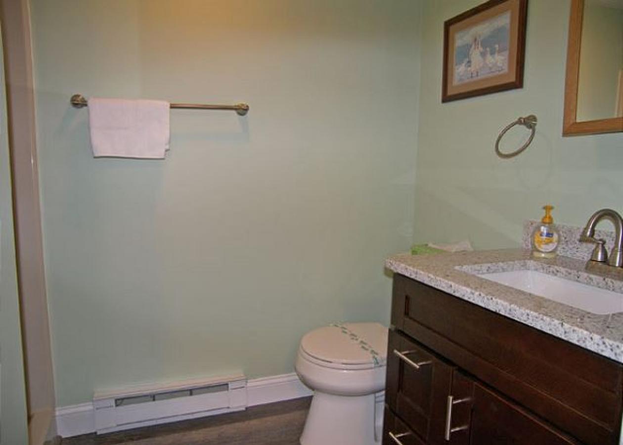 Alpine Village Resort 183 - thumb 10