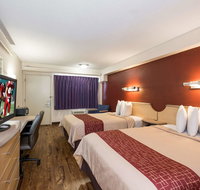 Red Roof Inn Hickory - Accommodation Denver