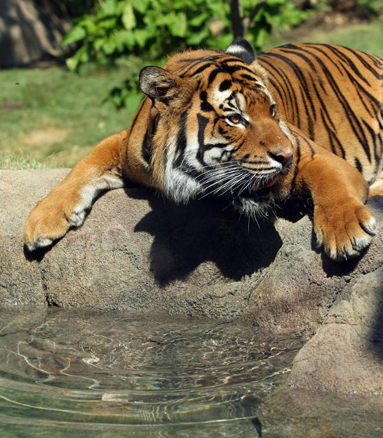 Hawthorn Suites By Wyndham Cincinnati Northeast/Mason - thumb 25