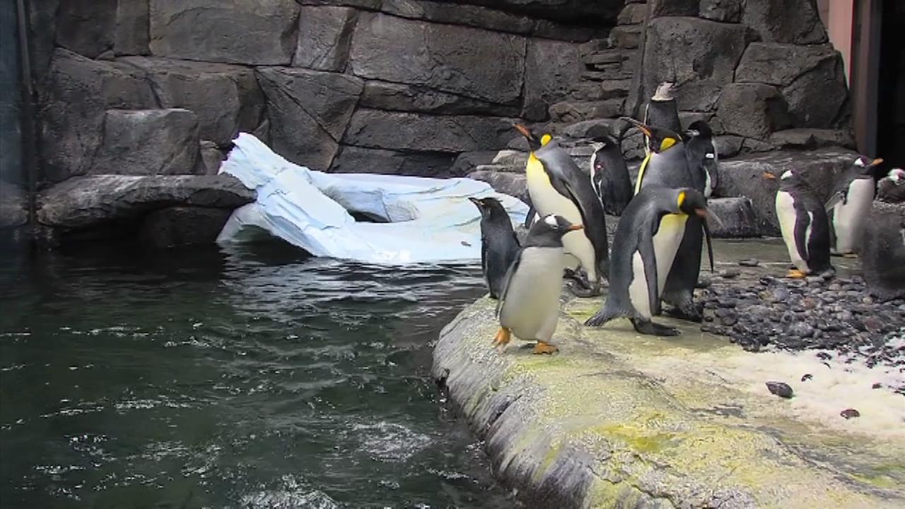 Hawthorn Suites By Wyndham Cincinnati Northeast/Mason - thumb 26