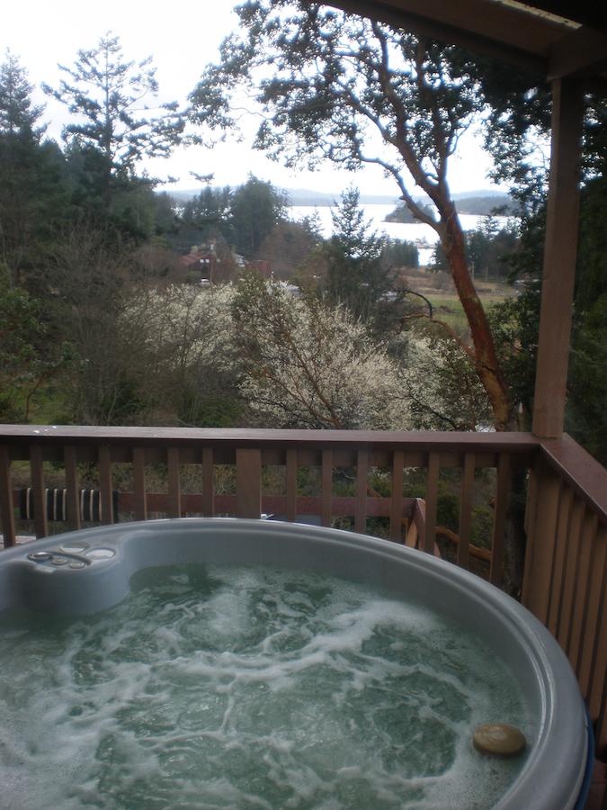 Deer Harbor View Cottages - thumb 35