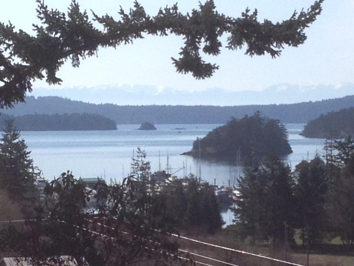 Deer Harbor View Cottages - thumb 34