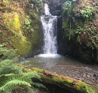 Taylor Creek Lodge - Accommodation Denver