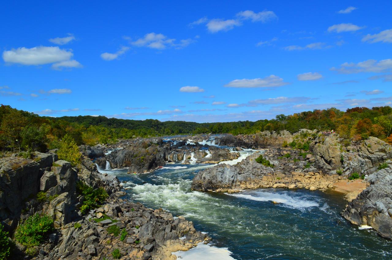 SpringHill Suites Centreville Chantilly - thumb 23