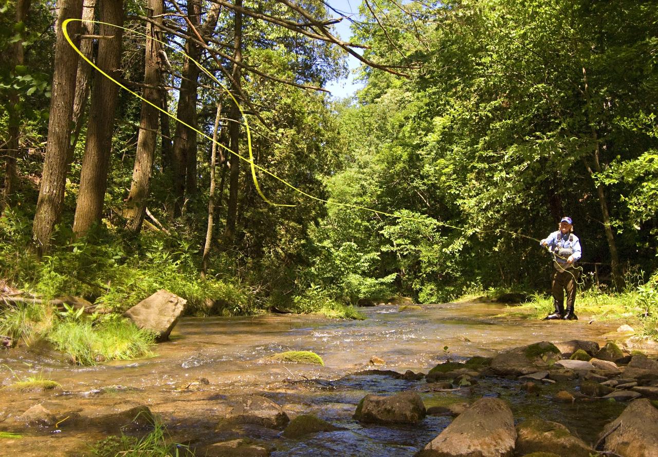 The Omni Homestead Resort - thumb 38