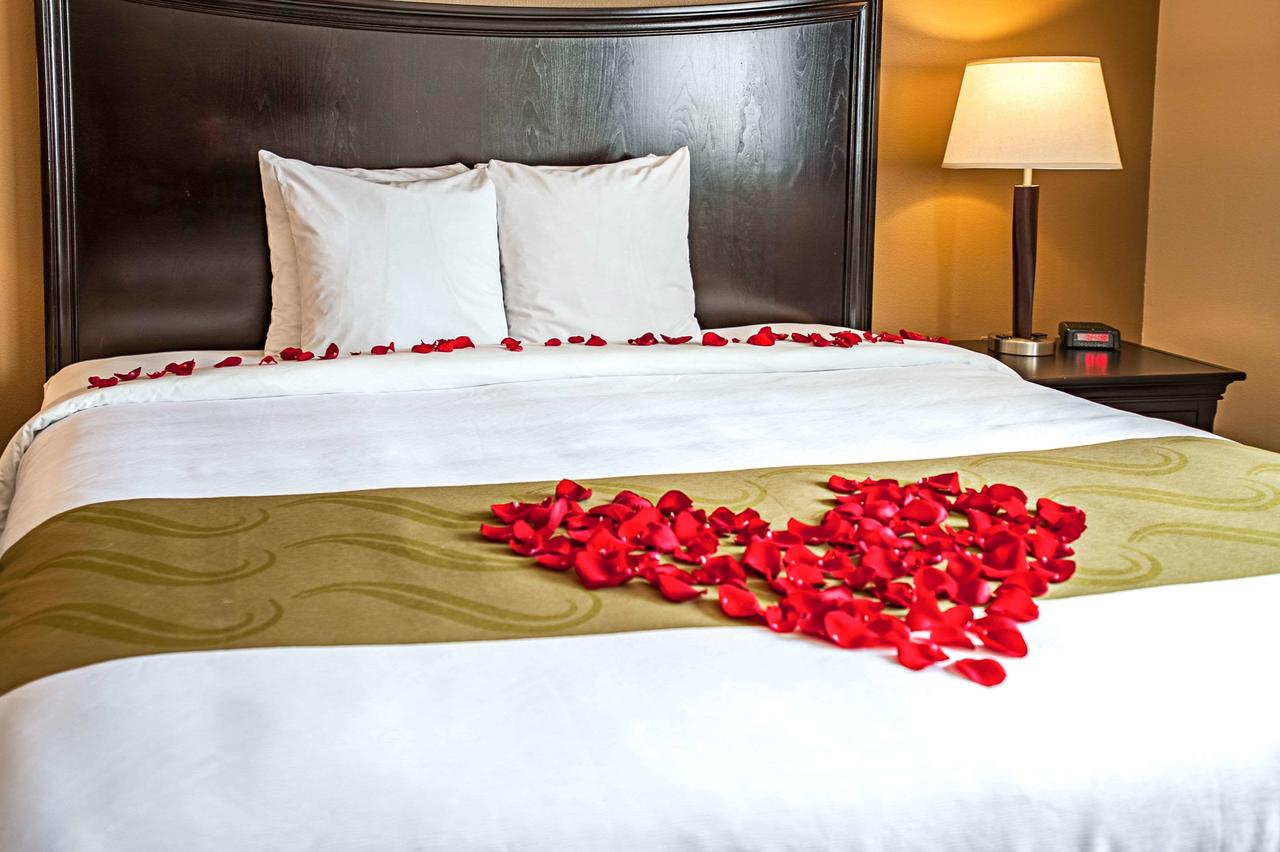 Quality Inn & Suites Pacific - Auburn - thumb 43