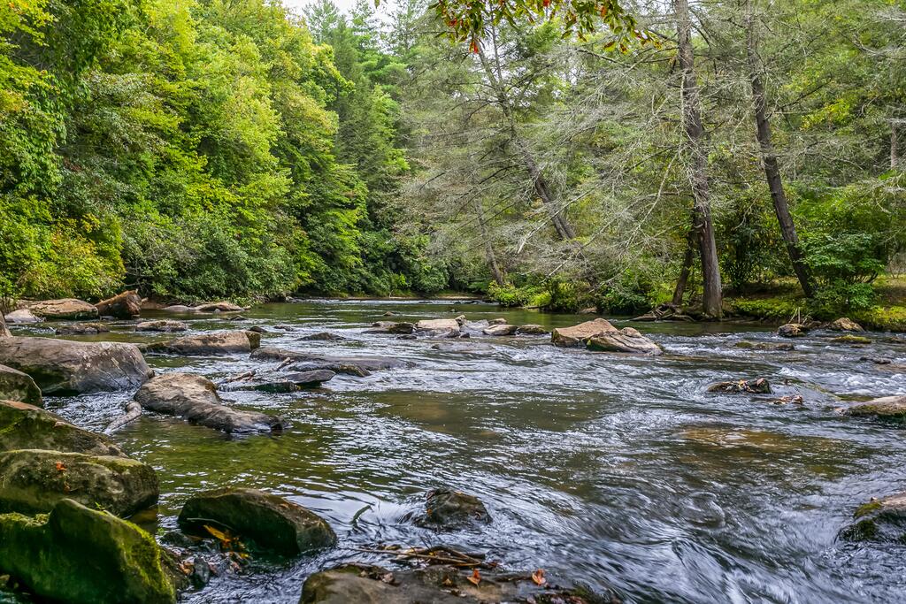 A Tranquil Place- Fightingtown Creek Frontage - thumb 0